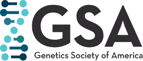GSA